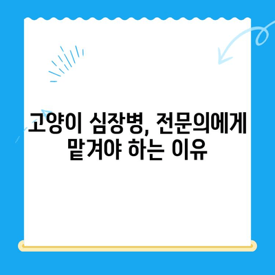 고양이 심장병 진료 후기| 시지동물병원 & 시지24시동물병원 | 고양이 심장병, 동물병원 추천, 진료 후기, 시지