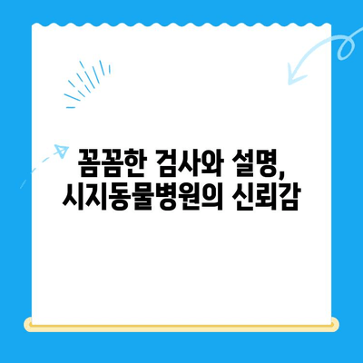 고양이 심장병 진료 후기| 시지동물병원 & 시지24시동물병원 | 고양이 심장병, 동물병원 추천, 진료 후기, 시지