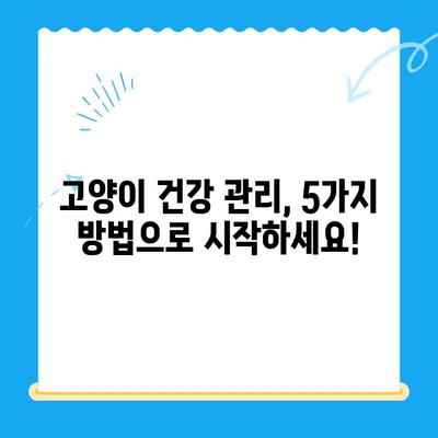 고양이 건강 체크 가이드| 24시 동물병원 검진 & 집에서 할 수 있는 5가지 방법 | 고양이 건강, 건강 체크, 동물병원, 건강 관리, 집에서 관리