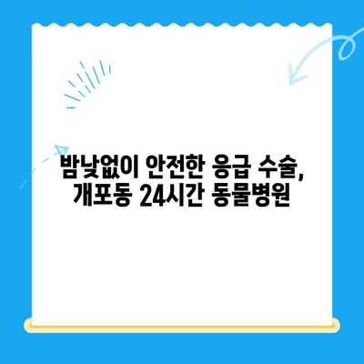 개포동 24시간 강아지 슬개골탈구 수술 가능한 동물병원 추천 | 슬개골탈구, 응급 수술, 24시간 진료