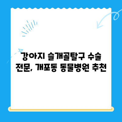 개포동 24시간 강아지 슬개골탈구 수술 가능한 동물병원 추천 | 슬개골탈구, 응급 수술, 24시간 진료