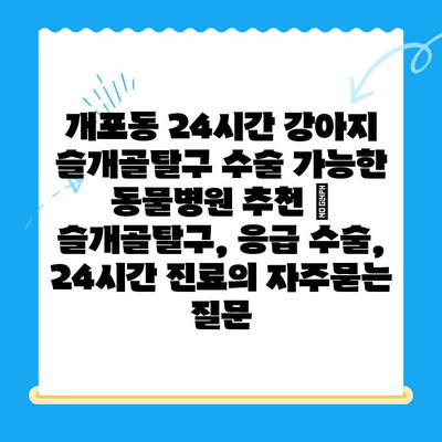 개포동 24시간 강아지 슬개골탈구 수술 가능한 동물병원 추천 | 슬개골탈구, 응급 수술, 24시간 진료