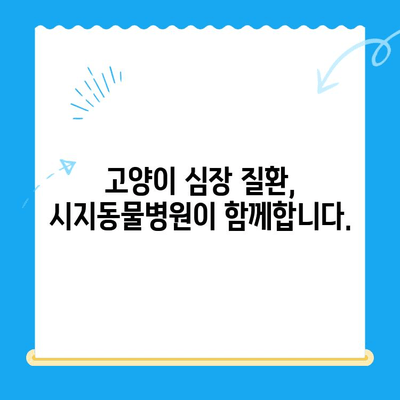 시지동물병원, 고양이 심장 질환 전문 진료 안내 | 고양이 심장병, 진료, 검사, 치료, 예방