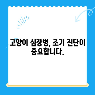 시지동물병원, 고양이 심장 질환 전문 진료 안내 | 고양이 심장병, 진료, 검사, 치료, 예방