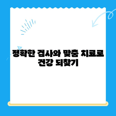 시지동물병원, 고양이 심장 질환 전문 진료 안내 | 고양이 심장병, 진료, 검사, 치료, 예방