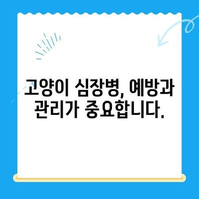 시지동물병원, 고양이 심장 질환 전문 진료 안내 | 고양이 심장병, 진료, 검사, 치료, 예방