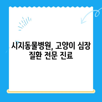 시지동물병원, 고양이 심장 질환 전문 진료 안내 | 고양이 심장병, 진료, 검사, 치료, 예방