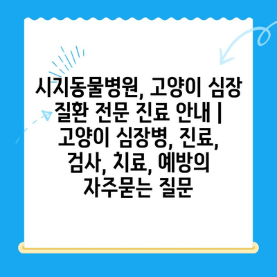 시지동물병원, 고양이 심장 질환 전문 진료 안내 | 고양이 심장병, 진료, 검사, 치료, 예방