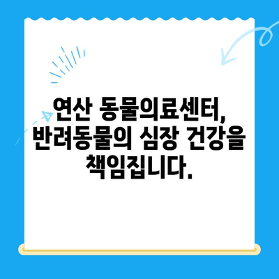 심장 검사, 24시간 긴급 진료 가능한 동물병원 | 연산 동물의료센터, 심장 질환, 야간 진료