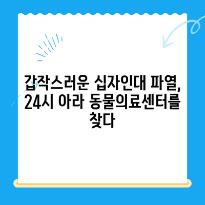 부천 옥길 아라 동물의료센터 24시 십자인대 수술 후기| 저희 강아지의 회복 이야기 | 24시 동물병원, 십자인대 수술, 강아지 재활