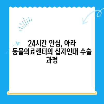 부천 옥길 아라 동물의료센터 24시 십자인대 수술 후기| 저희 강아지의 회복 이야기 | 24시 동물병원, 십자인대 수술, 강아지 재활