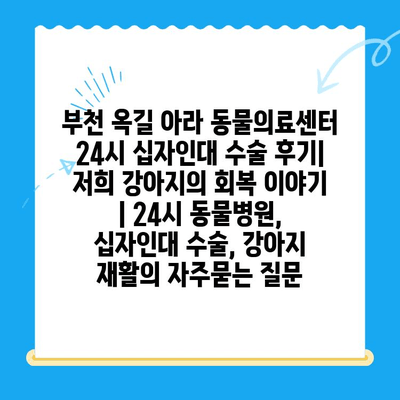 부천 옥길 아라 동물의료센터 24시 십자인대 수술 후기| 저희 강아지의 회복 이야기 | 24시 동물병원, 십자인대 수술, 강아지 재활