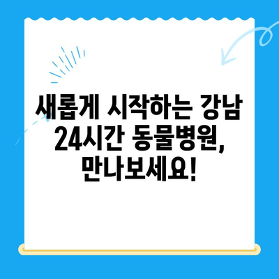 강남 24시간 동물병원, 새로운 이름으로 다시 태어납니다! | 동물병원 이름 변경 안내, 진료 시간, 연락처