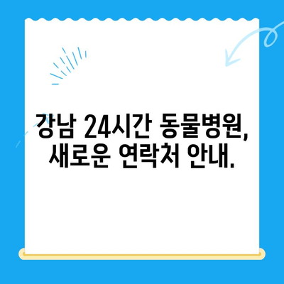 강남 24시간 동물병원, 새로운 이름으로 다시 태어납니다! | 동물병원 이름 변경 안내, 진료 시간, 연락처