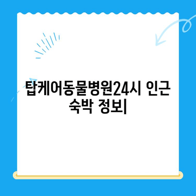 탑케어동물병원24시 인근 숙박 시설 추천 & 가이드 | 서울, 강남, 숙박, 호텔, 모텔, 게스트하우스