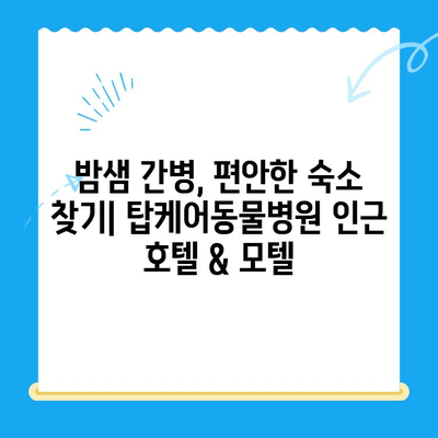 탑케어동물병원24시 인근 숙박 시설 추천 & 가이드 | 서울, 강남, 숙박, 호텔, 모텔, 게스트하우스
