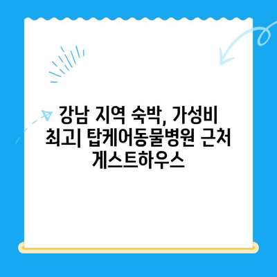 탑케어동물병원24시 인근 숙박 시설 추천 & 가이드 | 서울, 강남, 숙박, 호텔, 모텔, 게스트하우스