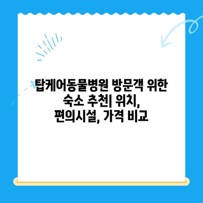 탑케어동물병원24시 인근 숙박 시설 추천 & 가이드 | 서울, 강남, 숙박, 호텔, 모텔, 게스트하우스