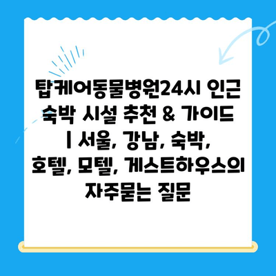 탑케어동물병원24시 인근 숙박 시설 추천 & 가이드 | 서울, 강남, 숙박, 호텔, 모텔, 게스트하우스
