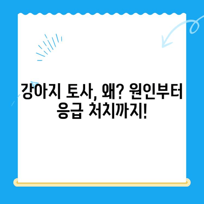 강아지 토사 원인| 24시간 동물병원 MRI 치료비 & 응급처치 가이드 | 강아지 토사, 구토, 응급, 동물병원, MRI, 치료비