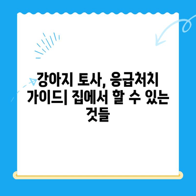 강아지 토사 원인| 24시간 동물병원 MRI 치료비 & 응급처치 가이드 | 강아지 토사, 구토, 응급, 동물병원, MRI, 치료비