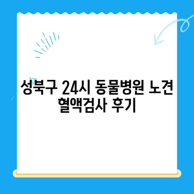 성북구 24시 동물병원 노견 혈액검사 후기| 솔직한 경험 공유 | 노령견 건강, 혈액검사, 동물병원 추천