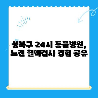 성북구 24시 동물병원 노견 혈액검사 후기| 솔직한 경험 공유 | 노령견 건강, 혈액검사, 동물병원 추천