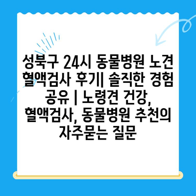 성북구 24시 동물병원 노견 혈액검사 후기| 솔직한 경험 공유 | 노령견 건강, 혈액검사, 동물병원 추천