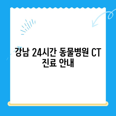 강남 24시간 동물병원의 CT 진료 안내 | 응급, 야간, 전문 진료, 진료 과정