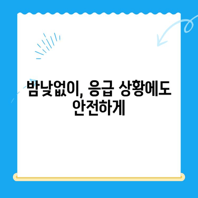 강남 24시간 동물병원의 CT 진료 안내 | 응급, 야간, 전문 진료, 진료 과정