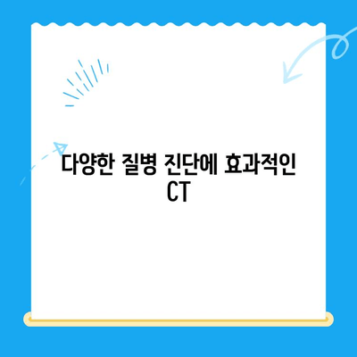 강남 24시간 동물병원의 CT 진료 안내 | 응급, 야간, 전문 진료, 진료 과정