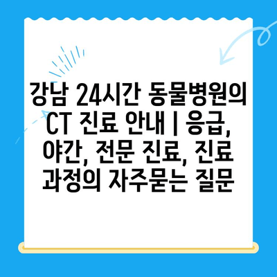 강남 24시간 동물병원의 CT 진료 안내 | 응급, 야간, 전문 진료, 진료 과정