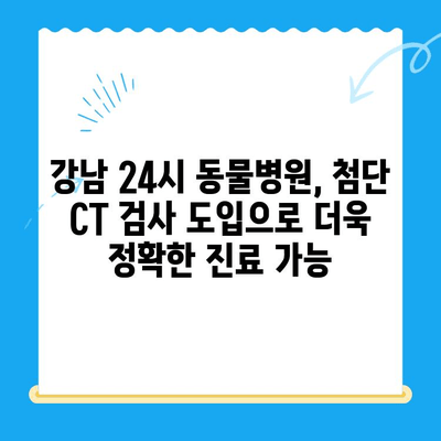 강남 24시 동물병원, 첨단 의료 도입!  CT 검사 서비스 시작 | 동물병원, 24시, CT, 강남, 진료