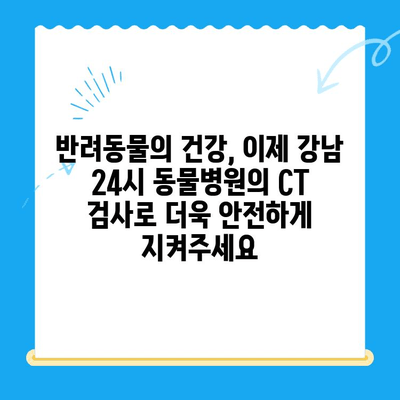 강남 24시 동물병원, 첨단 의료 도입!  CT 검사 서비스 시작 | 동물병원, 24시, CT, 강남, 진료