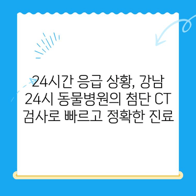 강남 24시 동물병원, 첨단 의료 도입!  CT 검사 서비스 시작 | 동물병원, 24시, CT, 강남, 진료