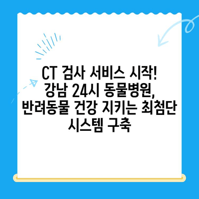 강남 24시 동물병원, 첨단 의료 도입!  CT 검사 서비스 시작 | 동물병원, 24시, CT, 강남, 진료