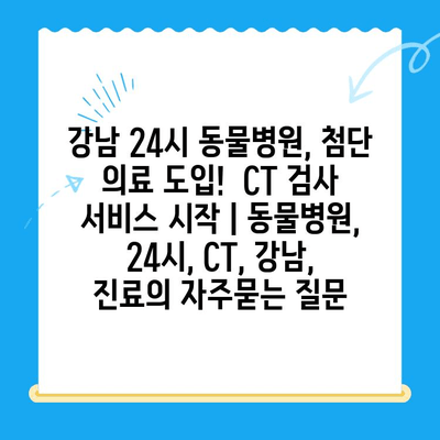 강남 24시 동물병원, 첨단 의료 도입!  CT 검사 서비스 시작 | 동물병원, 24시, CT, 강남, 진료