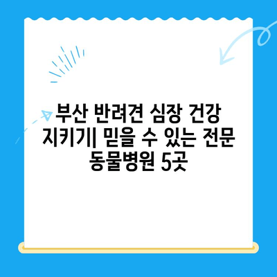 부산 반려견 심장검사 전문 동물병원 추천| 믿을 수 있는 5곳 | 반려동물 건강, 심장 질환, 진료