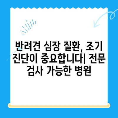 부산 반려견 심장검사 전문 동물병원 추천| 믿을 수 있는 5곳 | 반려동물 건강, 심장 질환, 진료