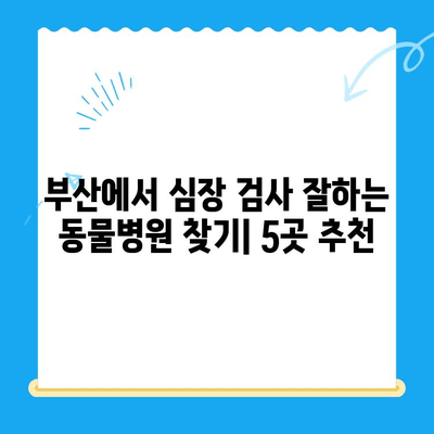 부산 반려견 심장검사 전문 동물병원 추천| 믿을 수 있는 5곳 | 반려동물 건강, 심장 질환, 진료