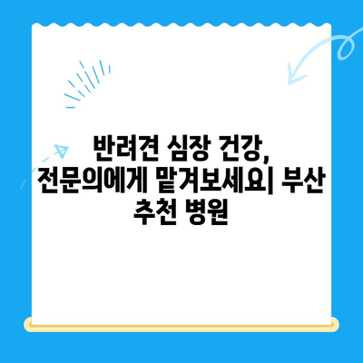 부산 반려견 심장검사 전문 동물병원 추천| 믿을 수 있는 5곳 | 반려동물 건강, 심장 질환, 진료