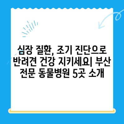 부산 반려견 심장검사 전문 동물병원 추천| 믿을 수 있는 5곳 | 반려동물 건강, 심장 질환, 진료