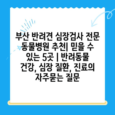 부산 반려견 심장검사 전문 동물병원 추천| 믿을 수 있는 5곳 | 반려동물 건강, 심장 질환, 진료