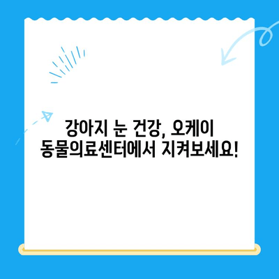 강아지 안과 검진 후기| 오케이 동물의료센터 |  눈 건강, 진료 후기, 동물병원 추천