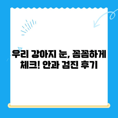 강아지 안과 검진 후기| 오케이 동물의료센터 |  눈 건강, 진료 후기, 동물병원 추천