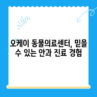 강아지 안과 검진 후기| 오케이 동물의료센터 |  눈 건강, 진료 후기, 동물병원 추천