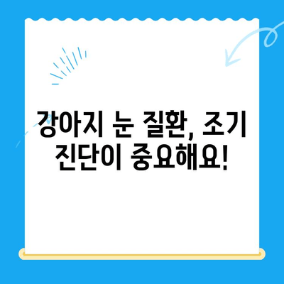 강아지 안과 검진 후기| 오케이 동물의료센터 |  눈 건강, 진료 후기, 동물병원 추천