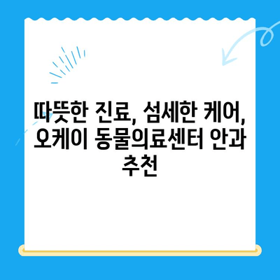 강아지 안과 검진 후기| 오케이 동물의료센터 |  눈 건강, 진료 후기, 동물병원 추천