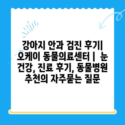 강아지 안과 검진 후기| 오케이 동물의료센터 |  눈 건강, 진료 후기, 동물병원 추천