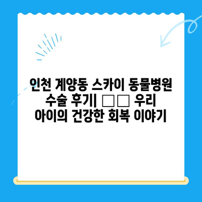 인천 계양동 스카이 동물병원 수술 후기| 🐶🐱 우리 아이의 건강한 회복 이야기 | 동물병원 추천, 수술 경험, 만족도